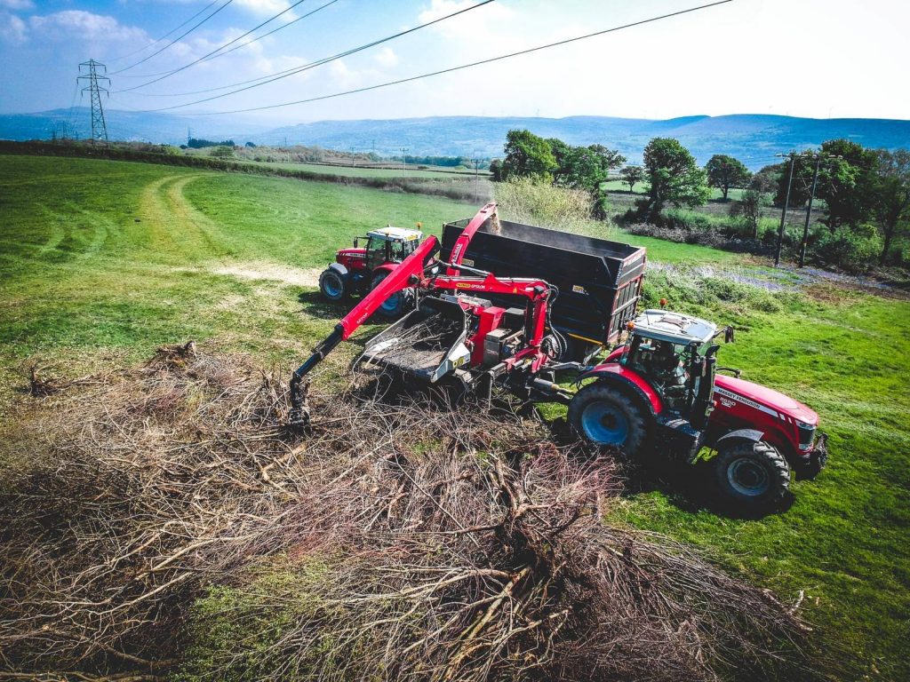 tree clearance Llandovery