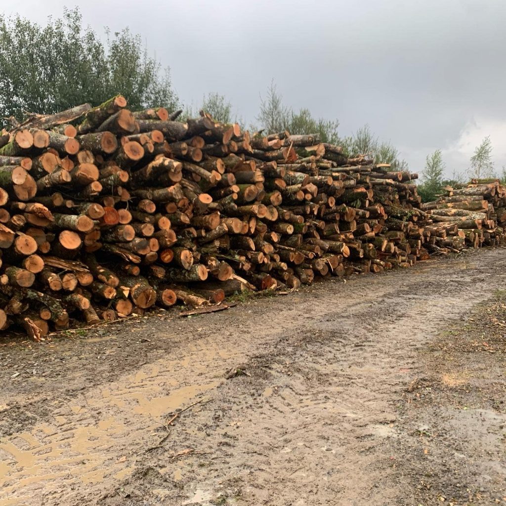 logs Carmarthenshire