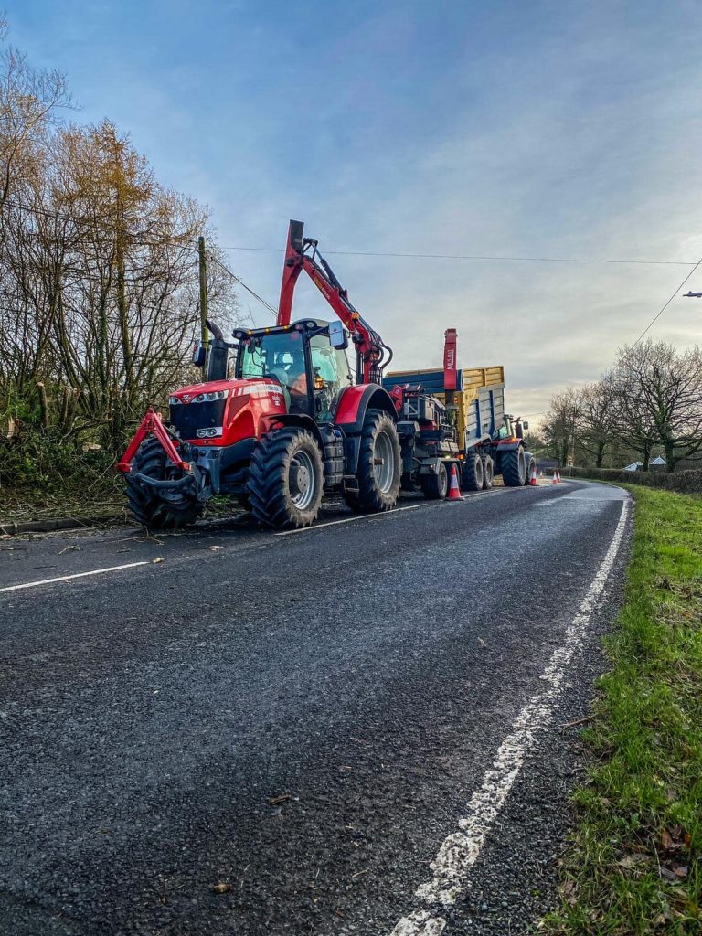 roadside tree clearance