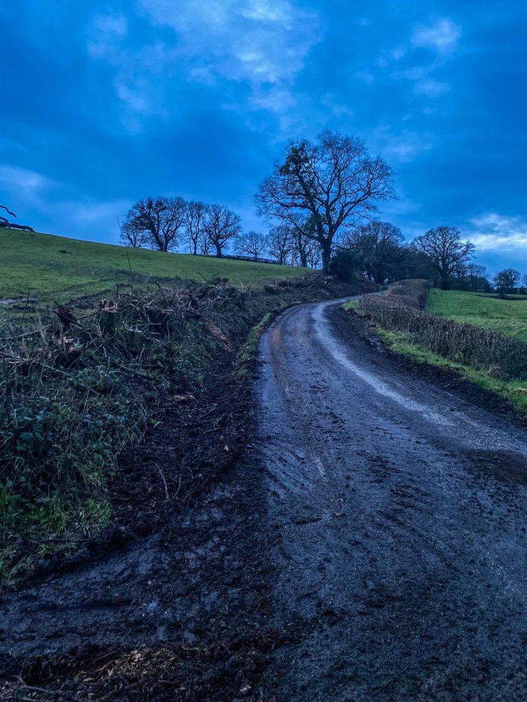 roadside brash and tree clearance in Carmarthenshire