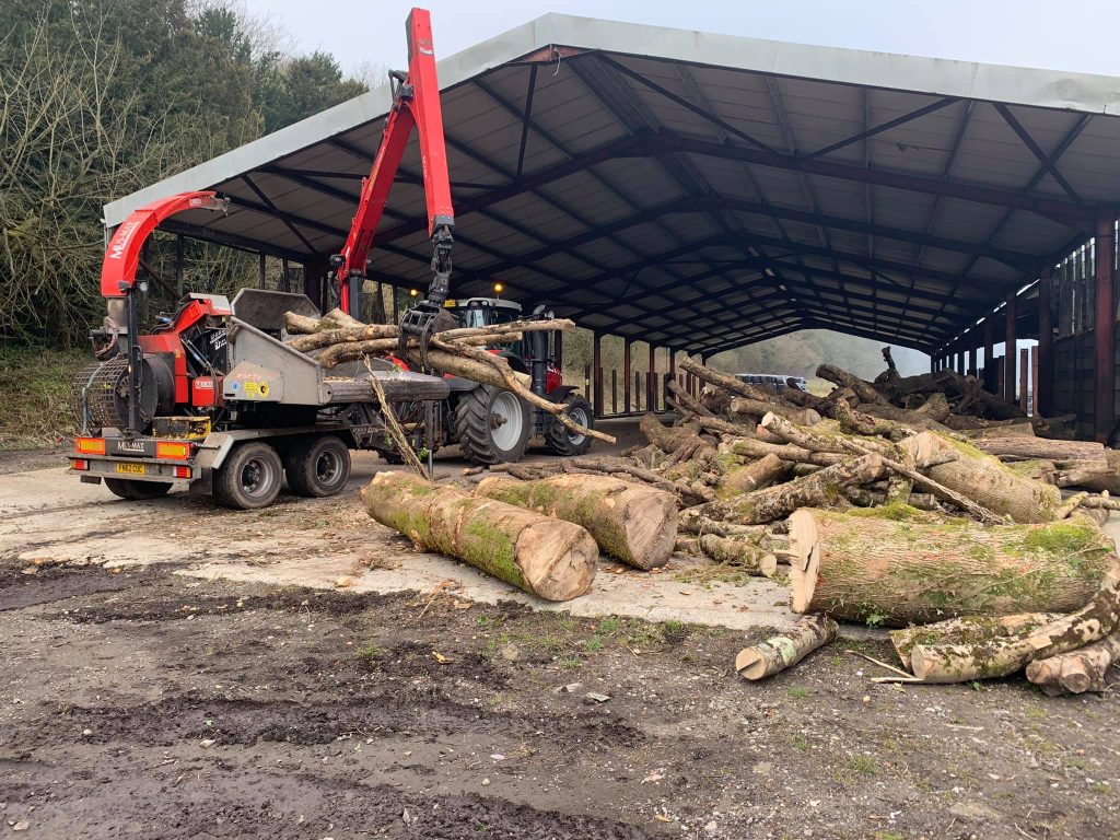 log and tree clearance