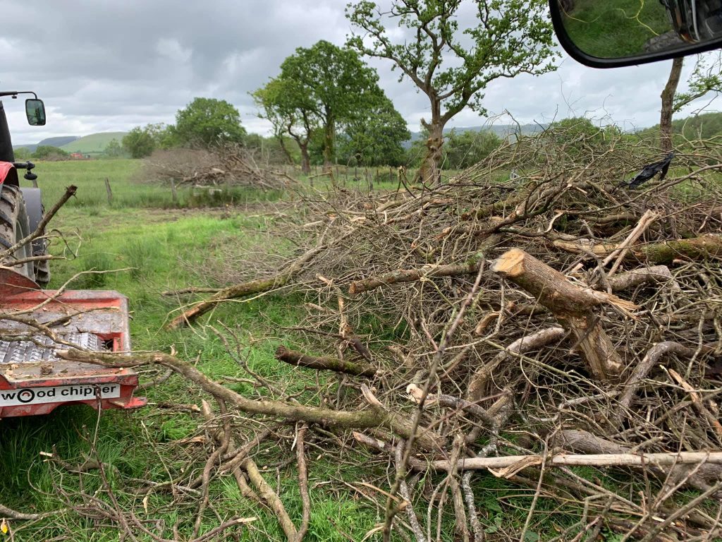 brush clearance wales