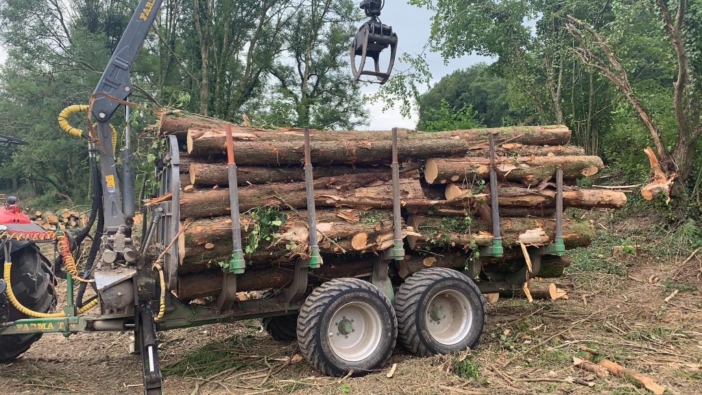 tree clearance Carmarthenshire