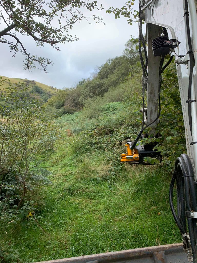 brash and tree clearance