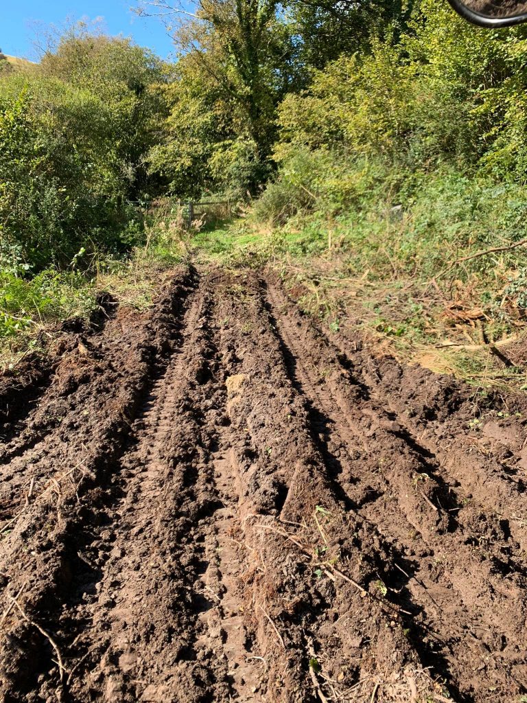 dyfed powys wood fuels