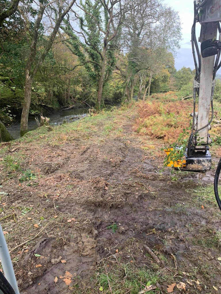 wood chip Llangadog