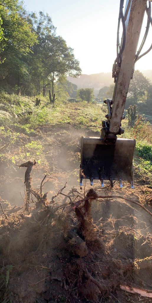 wood chipping Llandovery