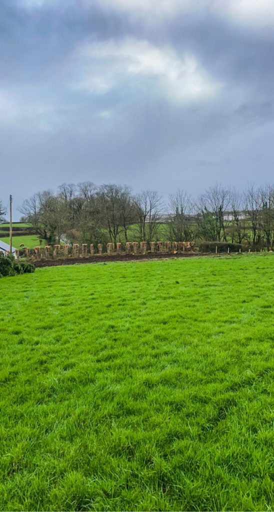 tree clearance Powys